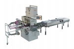 SWM-CFW200 CHOCOLATE FOLDED WRAPPING MACHINE